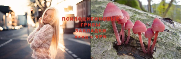 винт Аркадак