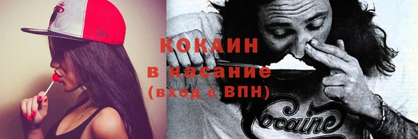 мяу мяу мука Арсеньев