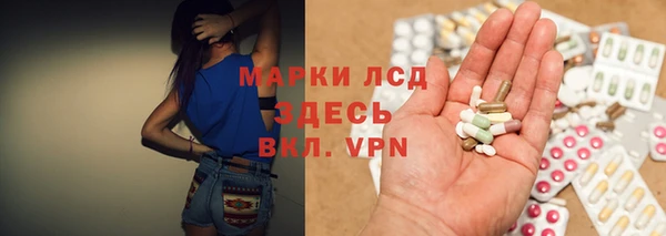 мяу мяу мука Арсеньев