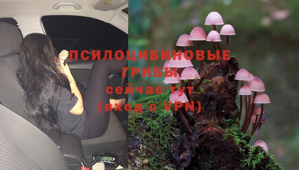 ALPHA-PVP Армянск