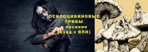 мяу мяу мука Арсеньев