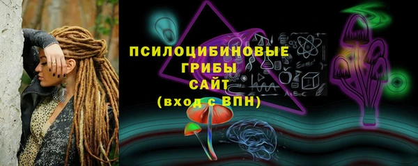 мяу мяу мука Арсеньев